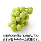 ���X�����Â��I�킵�̃V���C���}�X�J�b�g(���쌧�Y)