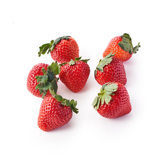 �������t�F�A����I���I�嗱���܂��(��ʌ��Y)