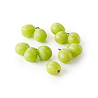 �H�ׂ���T�C�Y�I�������V���C���}�X�J�b�g(�������Y)