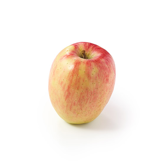 iȊÂ݂Ǝ_ Vimh`F( 쌧Y)