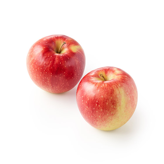 ʏ`IVimXC[g(2ʏʂ 茧Y)