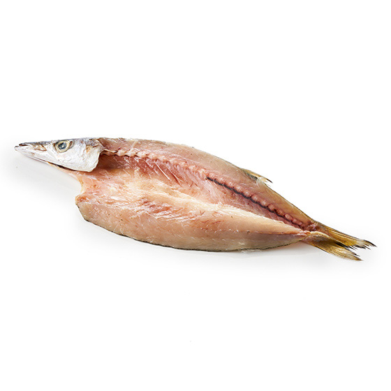 肉厚ふっくら!山陰産赤かますの開き