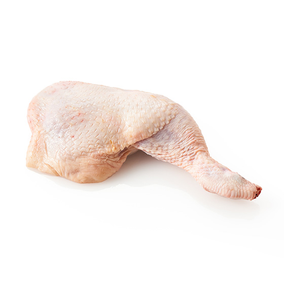 �b�߂ǂ荜�t��������