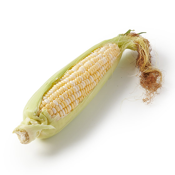 ՂƂ͂IÂ݂Ƃ낱(kC)