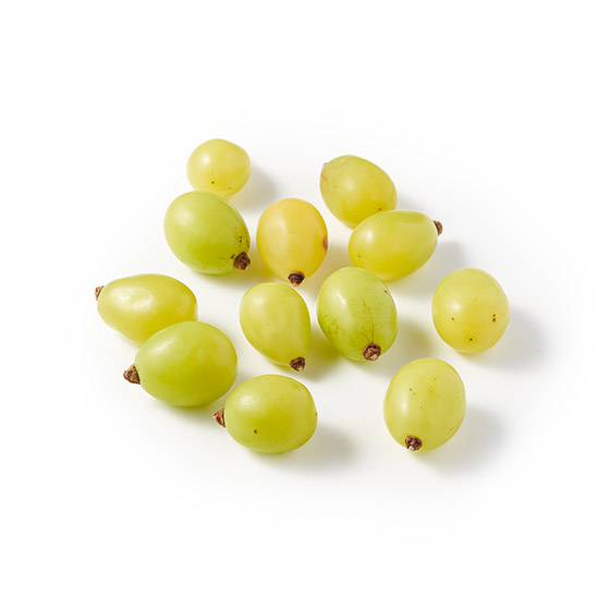 ������̒����V���C���}�X�J�b�g(�� ���쌧�Y)