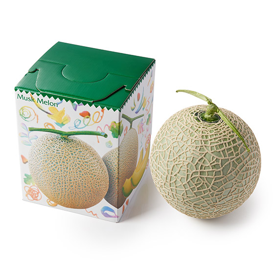 �y�M�t�g�����z���̂�������A�[���X������(�F�{���Y)