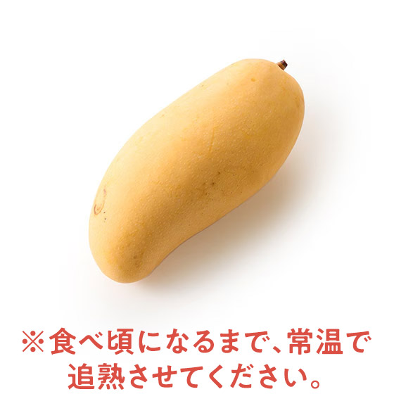 ݂͂}S[(}n`mbN ^CY)