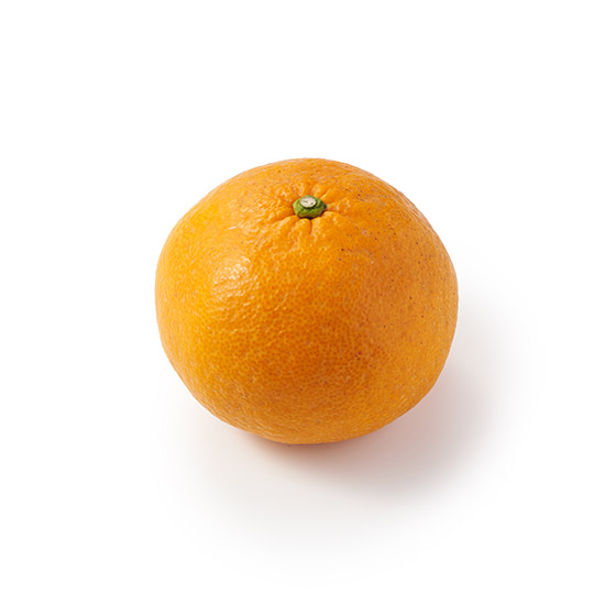 قꂳƊÂ݂NZɂȂIÉ(F{Y)