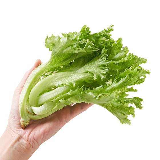 y\zt^X(ÉY)