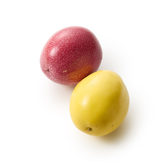 ςHה 2FpbVt[c(ꌧY)