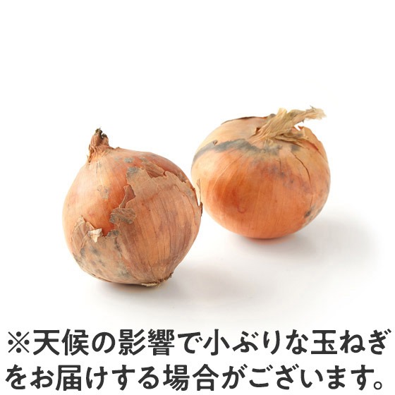 yTւIDaily+zʂ˂(kCY)