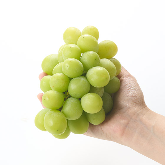 u₩ȍƏiȊÂ VC}XJbg(1[)