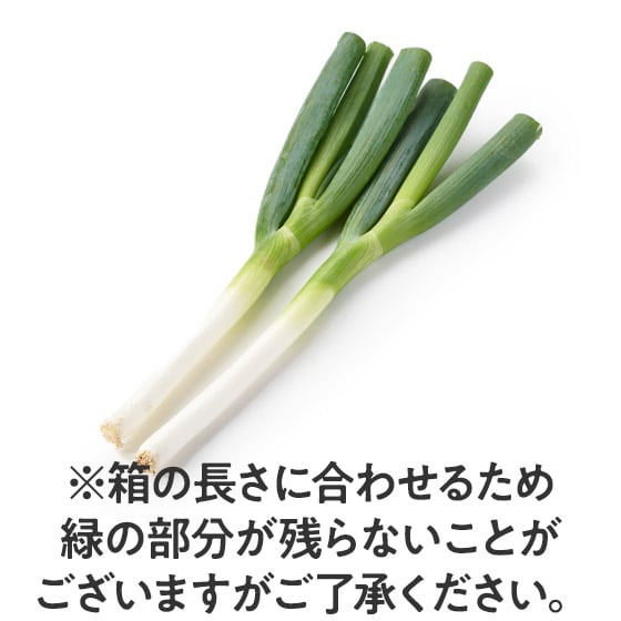 y\z_炩Â݂̂ ˂(VY)