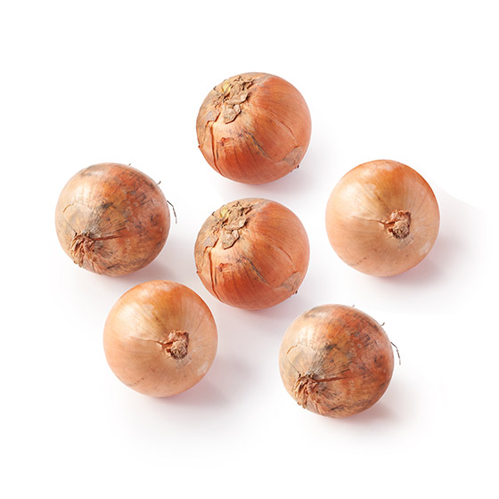 yeʁzÂ݂Ǝ| ʂ˂(kCY)