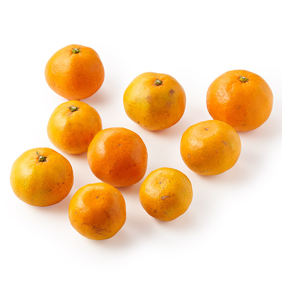 �y��e�ʁz�����ƊÎ_���ς� �����݂���(�F�{���Y)