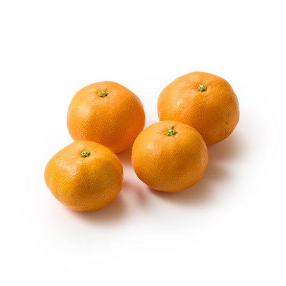 �n��100�N�V���_���̂Ƃ떨�݂���(���Q���Y)