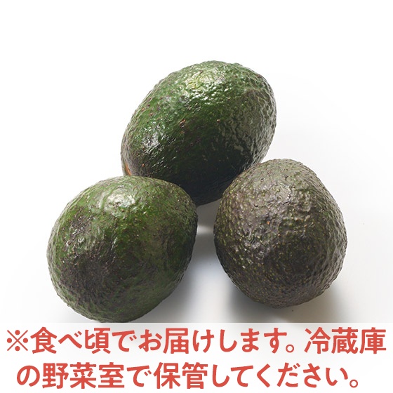 ���ʃR�N�|�A�{�J�h(�R�� ���L�V�R�Y)