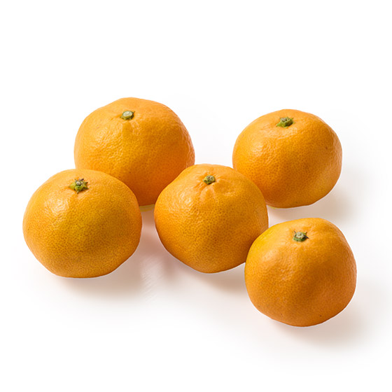 �ʏ`�����Ղ� �����݂���(�������Y)