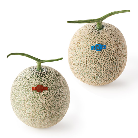 �y�M�t�g�����z���̃������H�ה�׃Z�b�g(�F�{���Y)