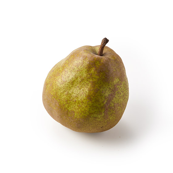 �~�̂Ƃ�`��F�� ���E�t�����X(�m�� �R�`���Y)