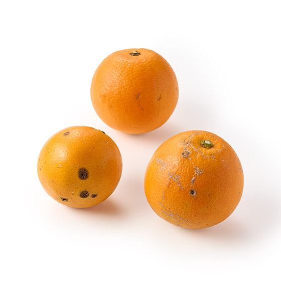 �`���̉ʎ��_�Ƃ����� ���Y�l�[�u���I�����W