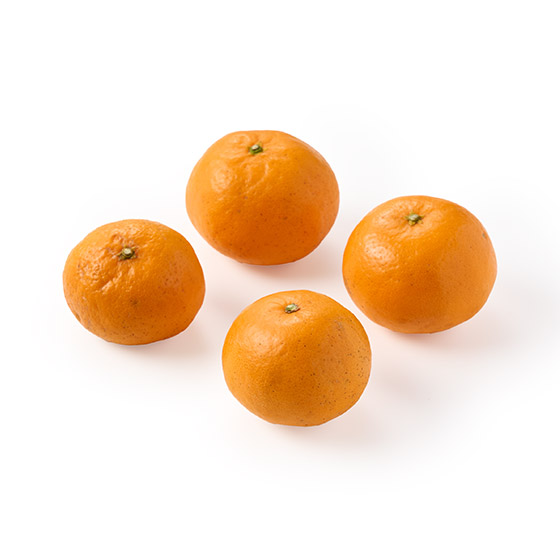 �����ƊÎ_���ς� ���B�݂���(�F�{���Y)