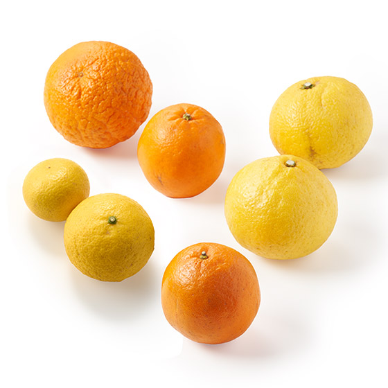 4��̏{�̊��k�l�ߍ��킹(1kg)