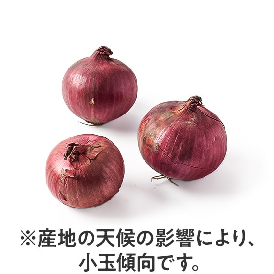 �y�\��z�ʂ�N�₩ �ԋʂ˂�(�k�C���Y)