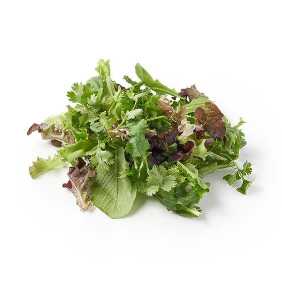 �y�\��z�p�N�`�[����G�X�j�b�N�T���_�Z�b�g