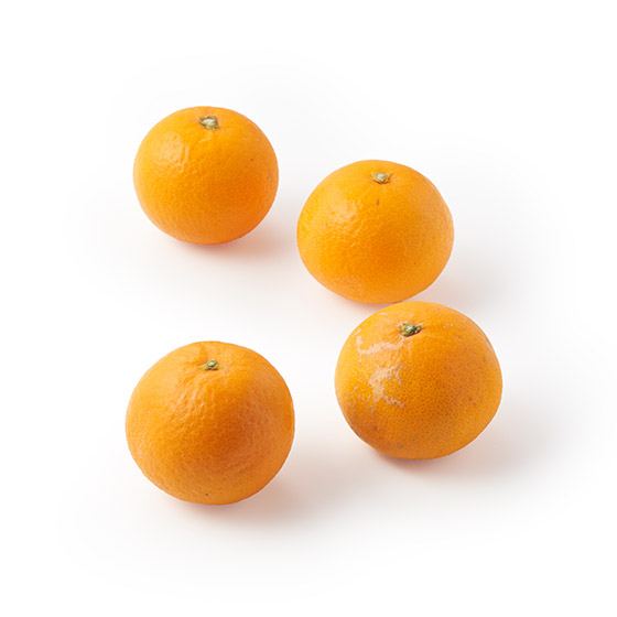 �ǂ���������đ喞���I�W���[�V�[���ʐ����I�����W