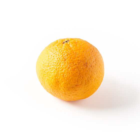 ���z�̌b�݂ł��݂���(�F�{���͎��������Y)