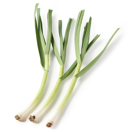 �|�݂ƊÂ݊����� �t�ɂ�ɂ�(�������Y)