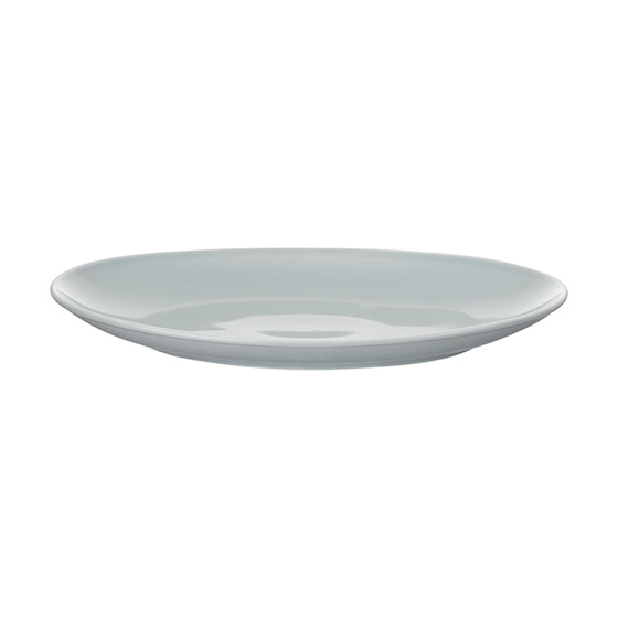 Common �I�[�o���v���[�g 27cm �D