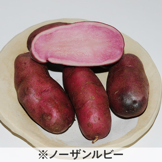 5色のカラフルパッとじゃがいも 北海道産 Isetan Door
