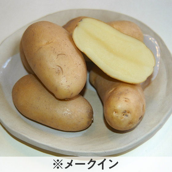 5色のカラフルパッとじゃがいも 北海道産 Isetan Door