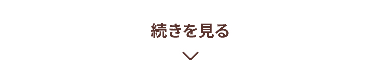 続きを見る