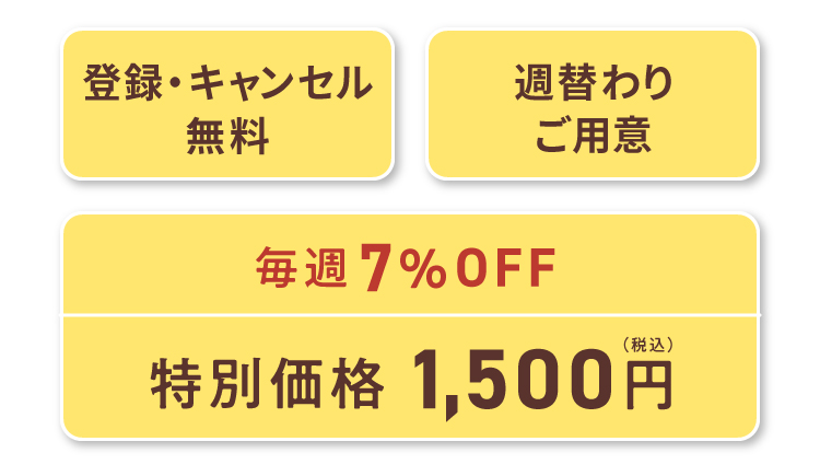 o^ELZ^Tւ育pӁ^T7%OFF ʉi1,500~iŔj