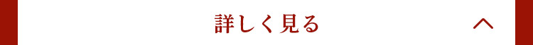 詳しく見る